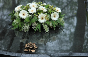 Jordan Magnuson Albuquerque, NM, Obituary, Death Jordan Magnuson Has Died